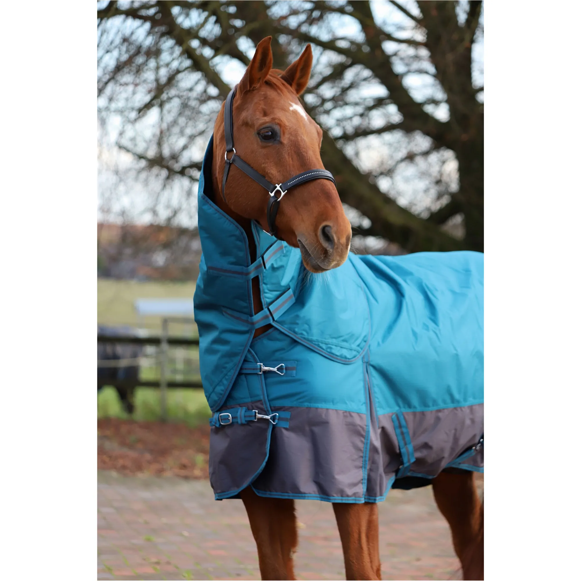 Weidedecke Full Neck Polarfleece 600D BASICLINE petrol/graphit
