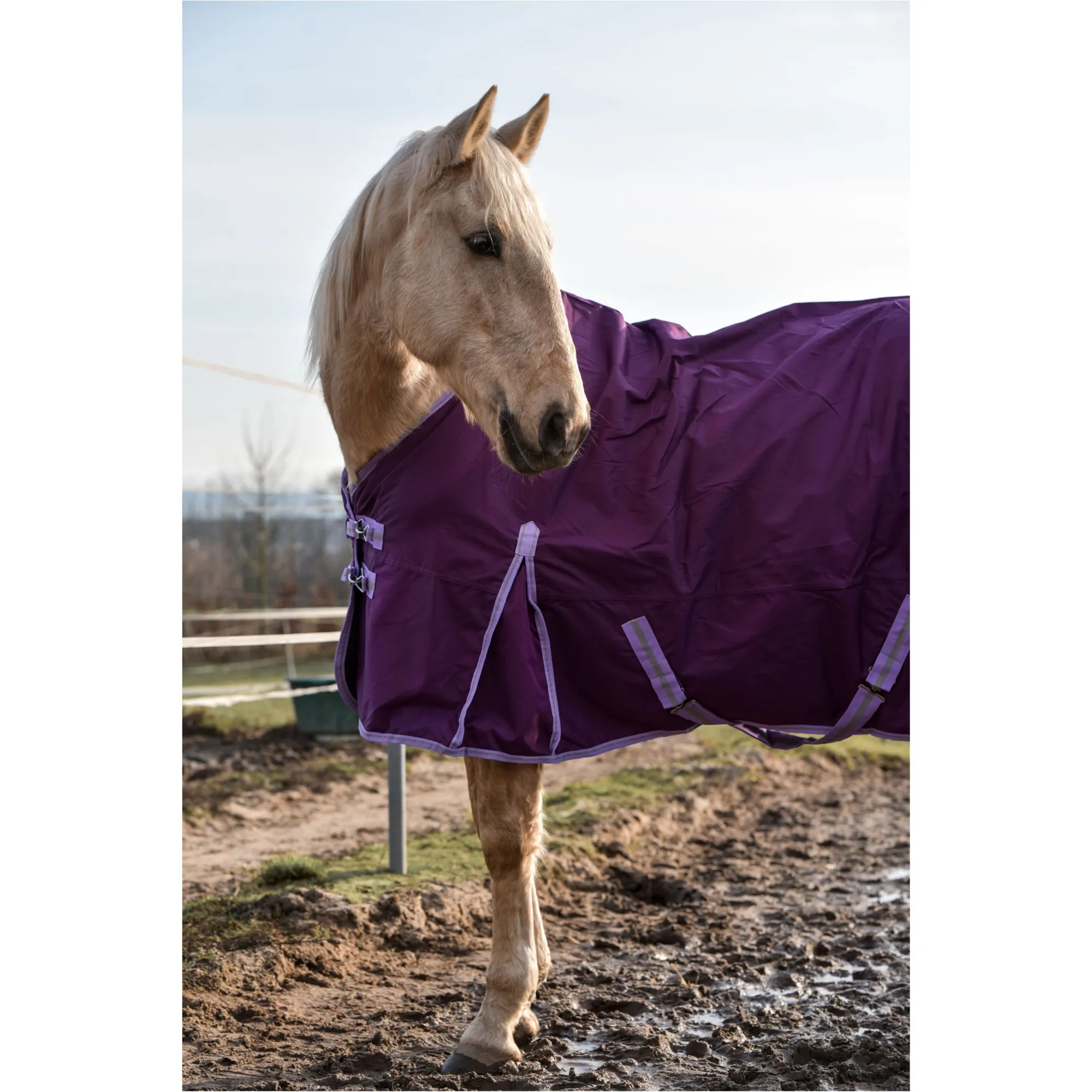 Winterdecke 200g Füllung 600D BASICLINE lila - Posten