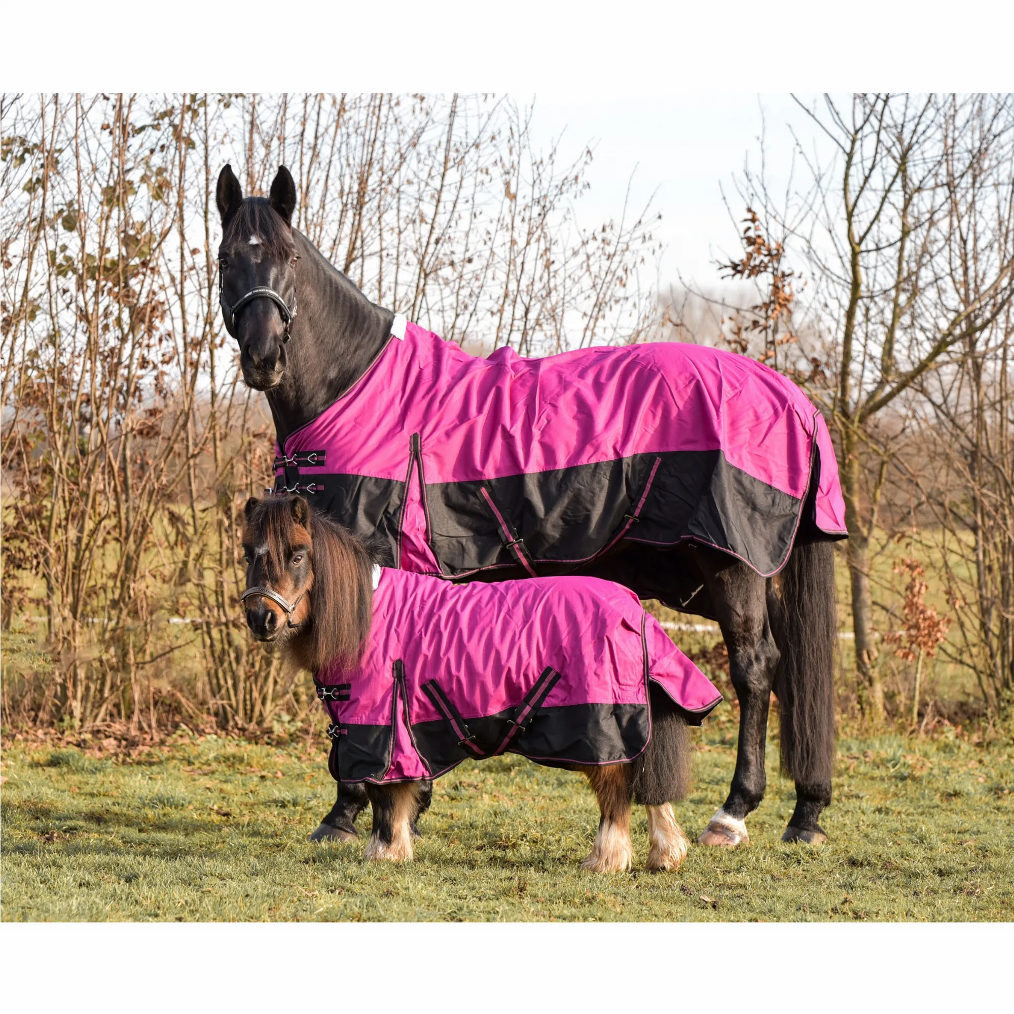 Winterdecke 200g Füllung 600D BASICLINE beere/schwarz - Posten