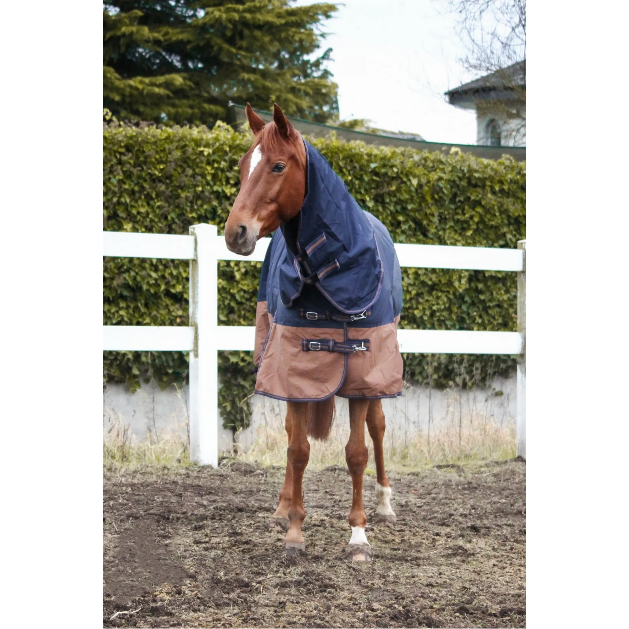 Winterdecke Full Neck 100g Füllung 600D BASICLINE dunkelblau/braun - Posten