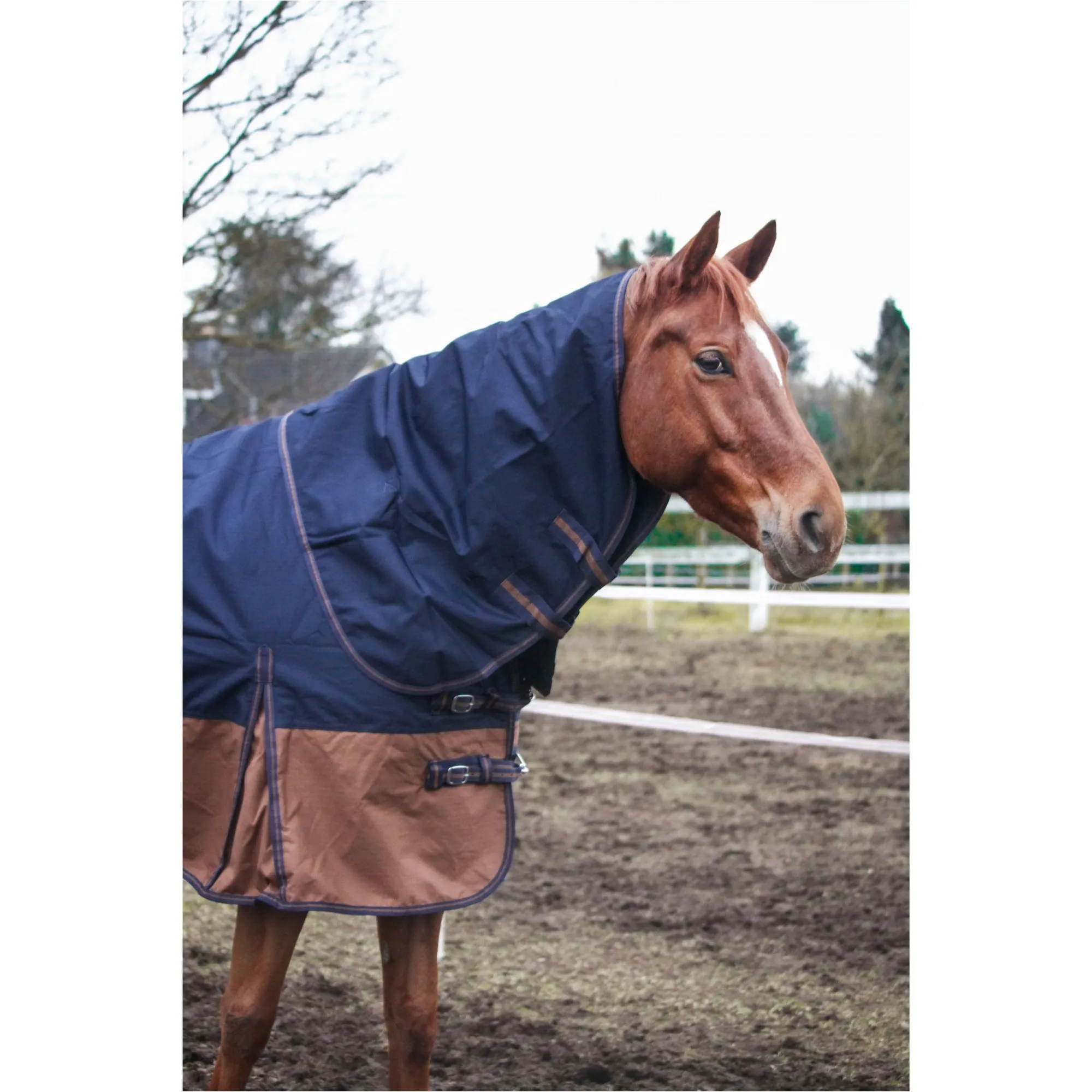 Winterdecke Full Neck 200g Füllung 600D BASICLINE dunkelblau/braun - Posten